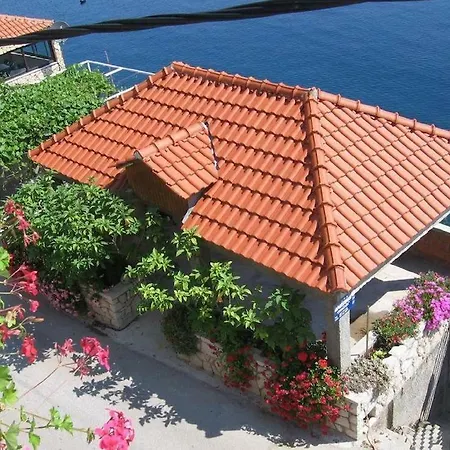 Διαμέρισμα Family Mljet *